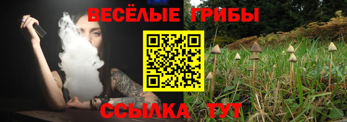 Качканар  Галлюциногенные грибы мицелий  Вход с VPN 