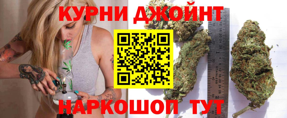 Канабис сатива Качканар